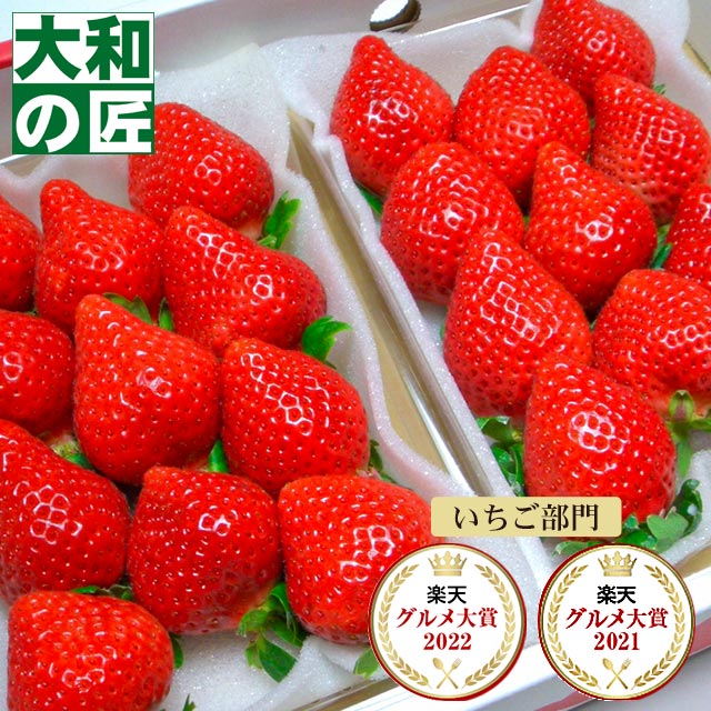 博多あまおう DX 2パックの商品画像