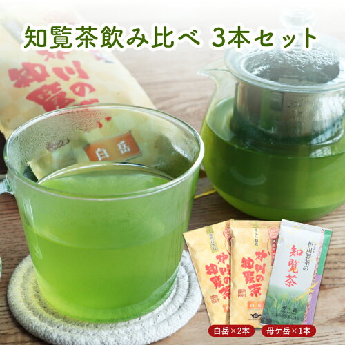 知覧茶 新茶 100g×3袋セットの商品画像