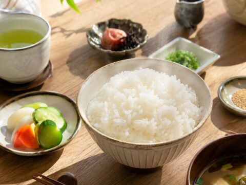 魚沼産こしひかり白米5kg（令和7年産）はどこで買える？賞味期限・カロリー・値段まとめ