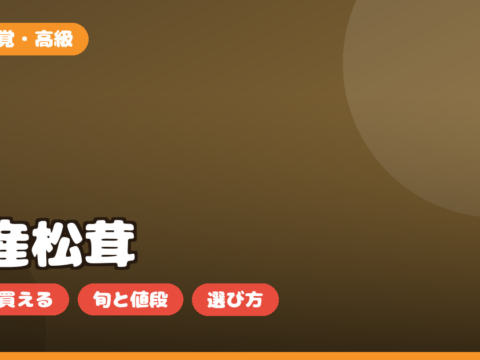 国産松茸 お取り寄せの選び方｜つぼみ・並・訳ありの違いと値段・時期を正直解説
