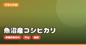 魚沼産コシヒカリ 新米 お取り寄せ｜本物の見分け方・5kgの選び方・保存を正直レビュー