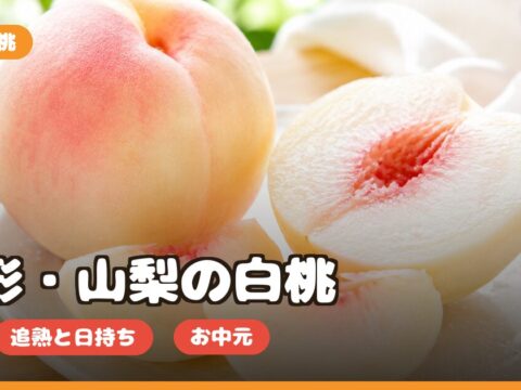 山形・山梨の白桃の口コミ｜どこで買える・旬・追熟と日持ち・お中元ギフト向きか