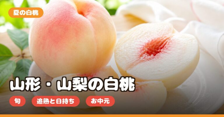 山形・山梨の白桃の口コミ｜どこで買える・旬・追熟と日持ち・お中元ギフト向きか