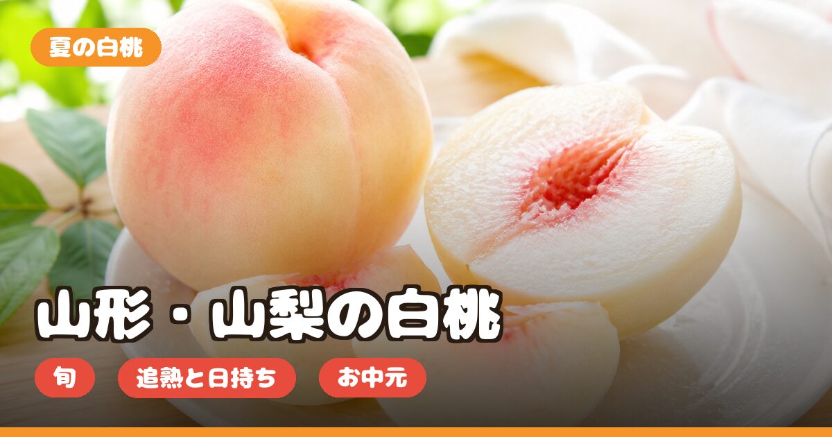 山形・山梨の白桃の口コミ｜どこで買える・旬・追熟と日持ち・お中元ギフト向きか