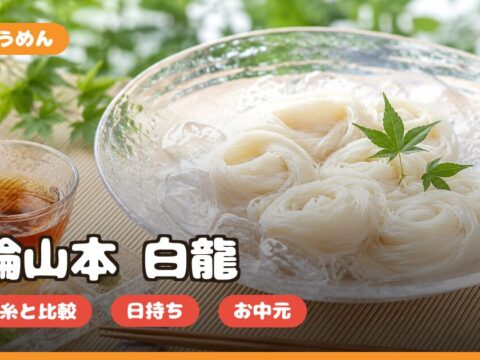三輪山本 白龍の口コミ｜どこで買える・揖保乃糸との違い・お中元ギフト向きか正直レビュー