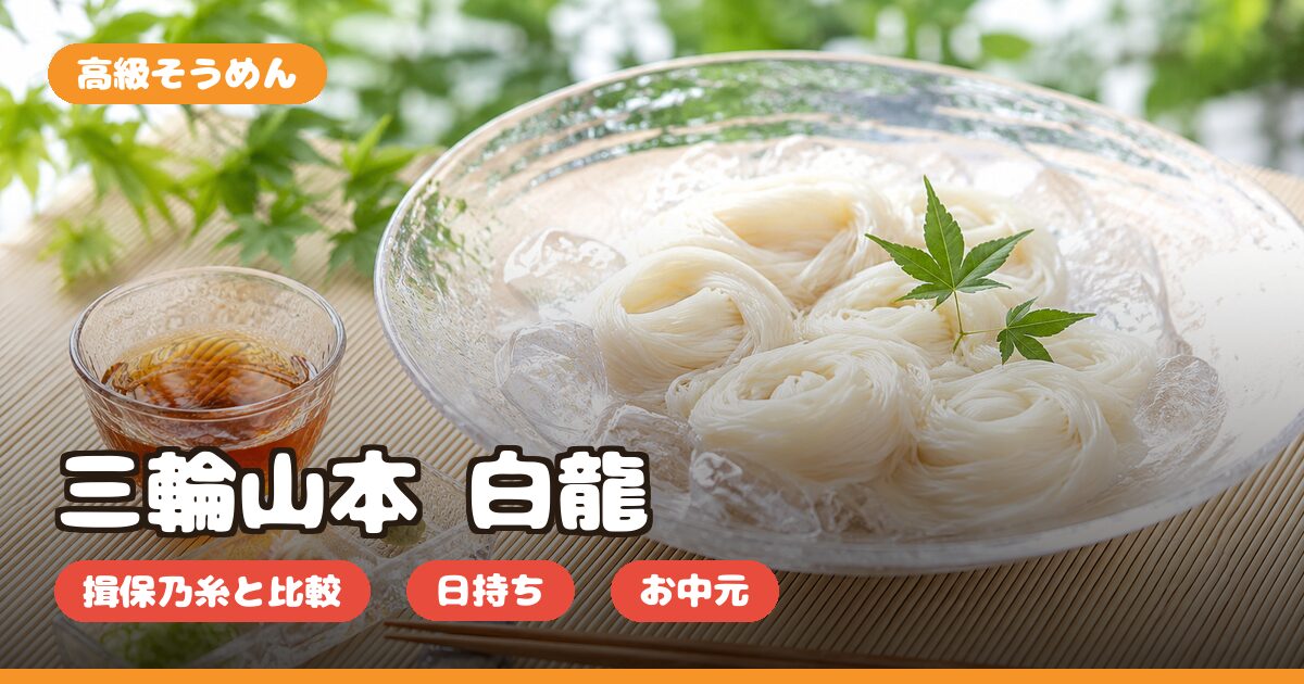 三輪山本 白龍の口コミ｜どこで買える・揖保乃糸との違い・お中元ギフト向きか正直レビュー